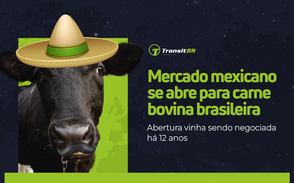 Carne bovina brasileira tem abertura de mercado mexicano confirmada