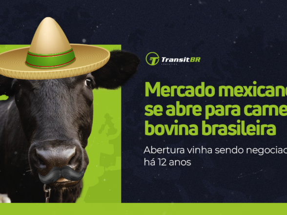 Carne bovina brasileira tem abertura de mercado mexicano confirmada